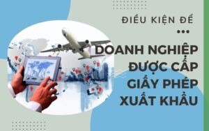 Điều kiện để cấp giấy phép xuất khẩu