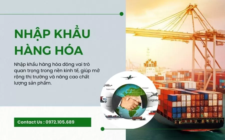 Tổng quan về hoạt động nhập khẩu hàng hóa